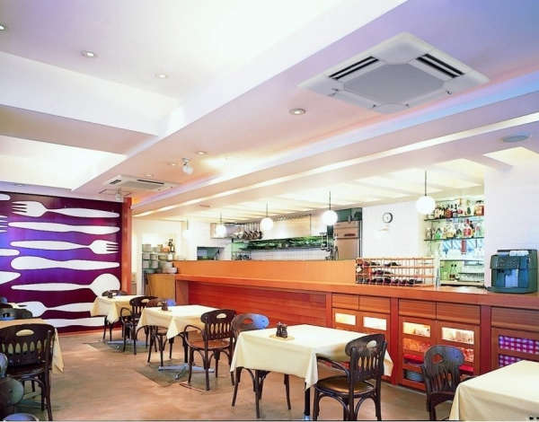 Toshiba RAV-SM1104UTP-E/RAV-SM1104ATP-E